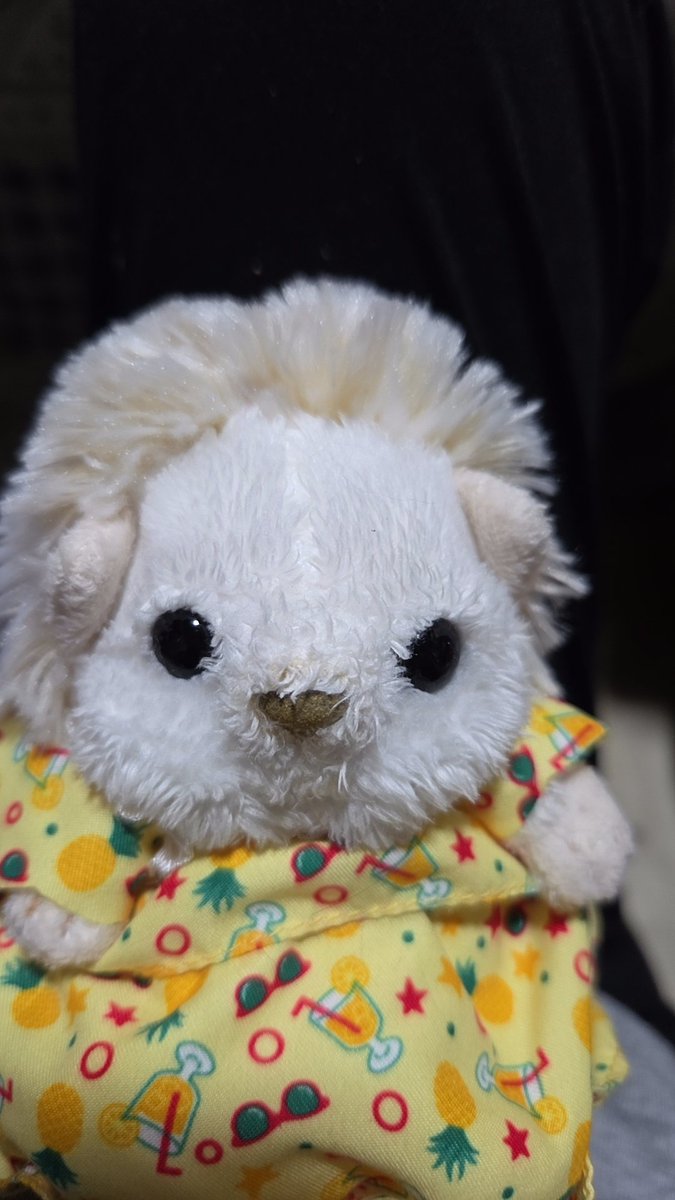 なっつの妹夏実（なつみ)ちゃわ最近お手伝いがしたいらしく、さっきタオル畳むの頑張ってくれたけど、疲れて爆睡💣💤