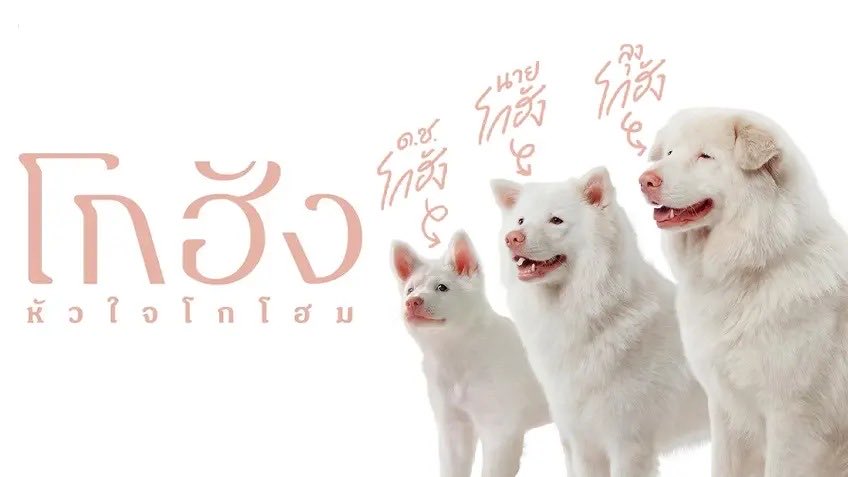 มานน่ารักจังโว้ยยย หมาอะไรหน้าเหมือนหมูมาก55555555555454445555555 อยากหอมหัวสามตัวเลย