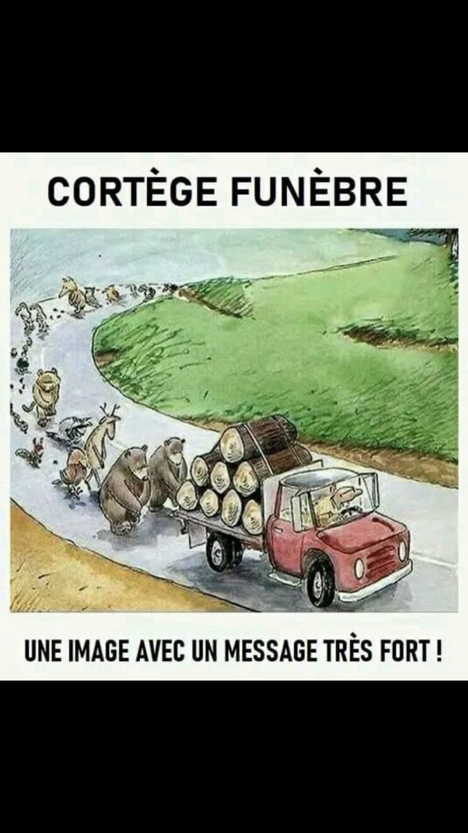HChalvignac's tweet photo. L’ONF, meurtrière de notre belle faune ( Saul les ours )
Elle coupe nos plus beaux arbres( chênes )  pour les vendre à la Chine . https://t.co/UckrBfmGKL