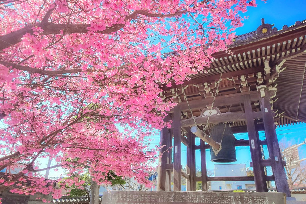 ひでき@天まで届け❗大吉パワー🎵🐼🎵 tweet media