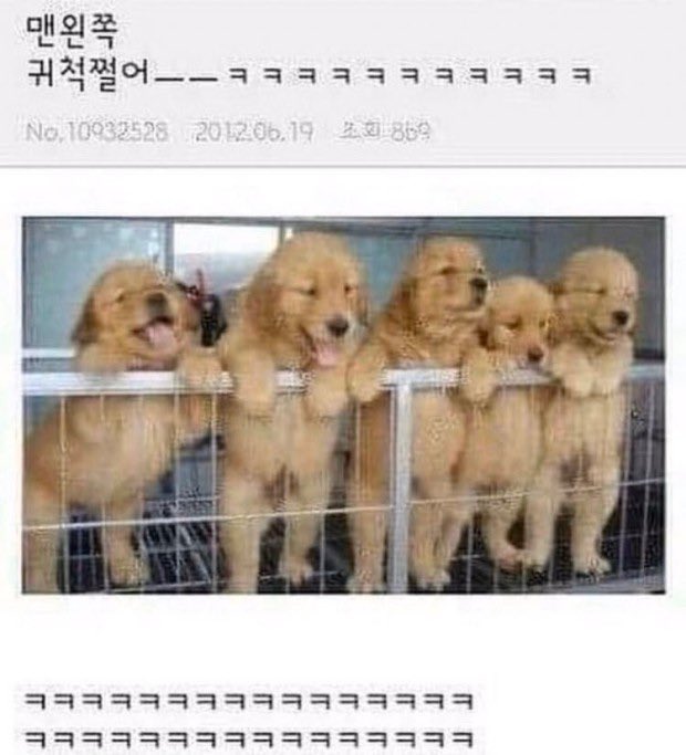 hastellappy's tweet photo. 맨왼쪽
귀척쩔어ㅡㅡㅋㅋㅋㅋㅋㅋㅋㅋㅋㅋㅋ https://t.co/kmSaBqzfgQ