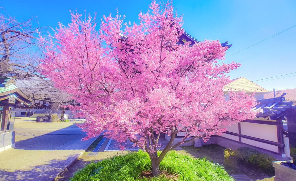 ひでき@天まで届け❗大吉パワー🎵🐼🎵 tweet media