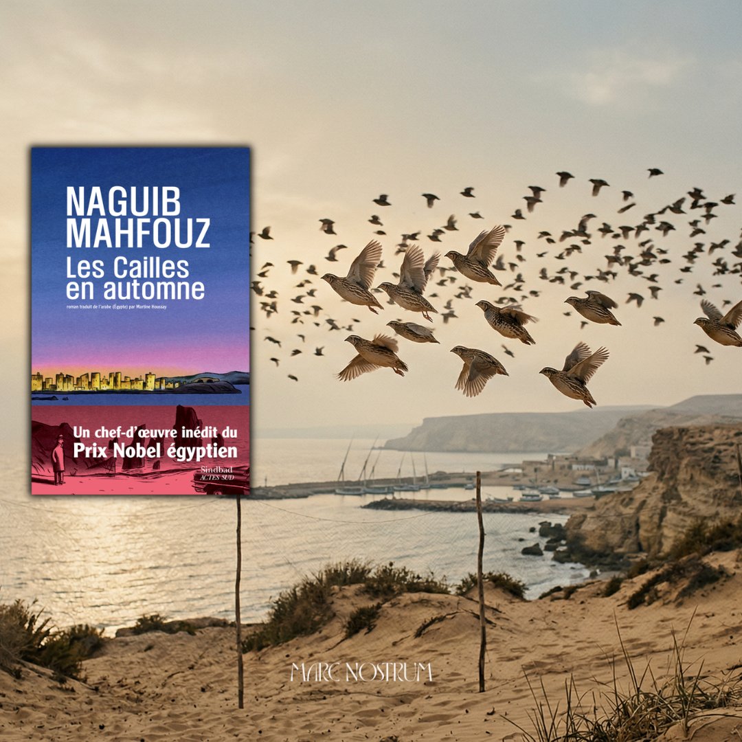 marenostrum tweet media