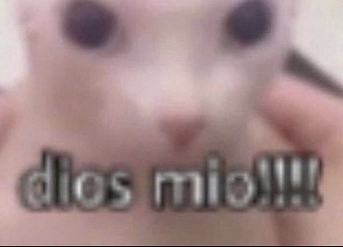  ≛ 𝐤𝐢𝐧𝐠 𝒊𝒎𝒎𝒐𝒓𝒕𝒂𝒍 ˚。⋆ .ᐟ tweet media