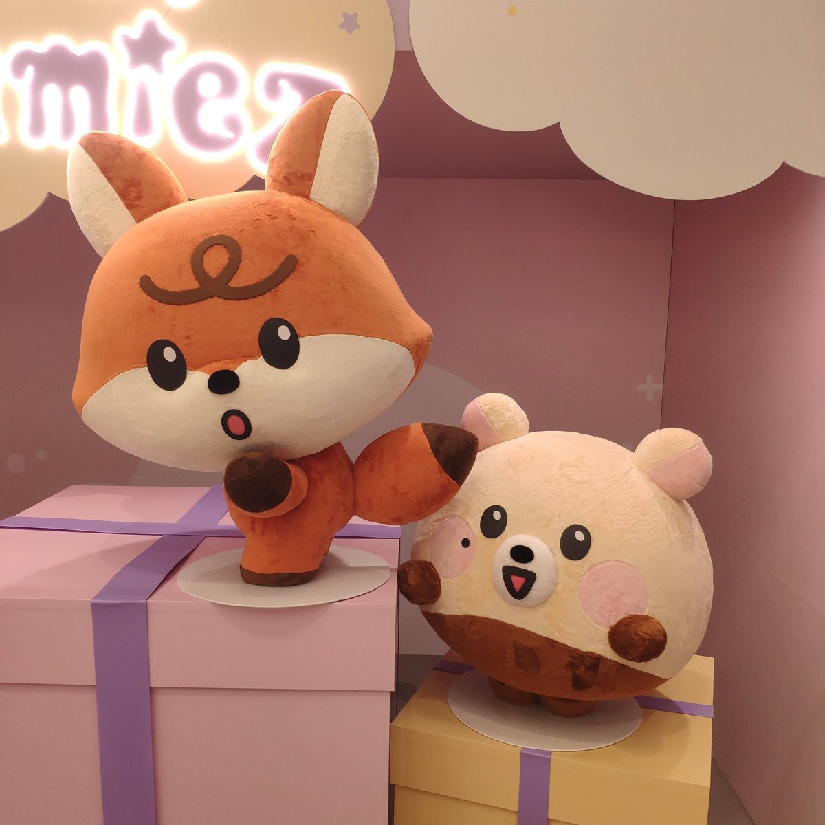 ini jjun sama bamjji kaya amaze gitu ya sama ekornya jjun 😂 mungkin karena bamjji ga punya? wkwk