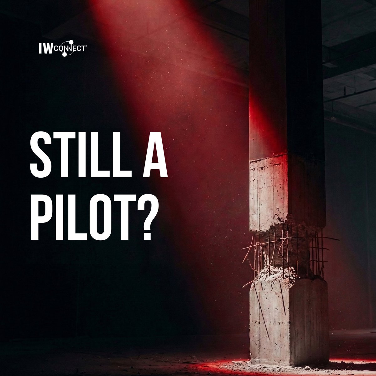 ⋮IWConnect tweet media