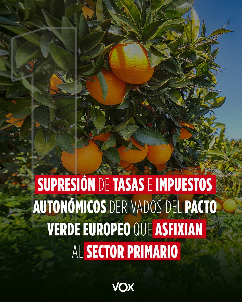 VOX Cortes Valencianas tweet media