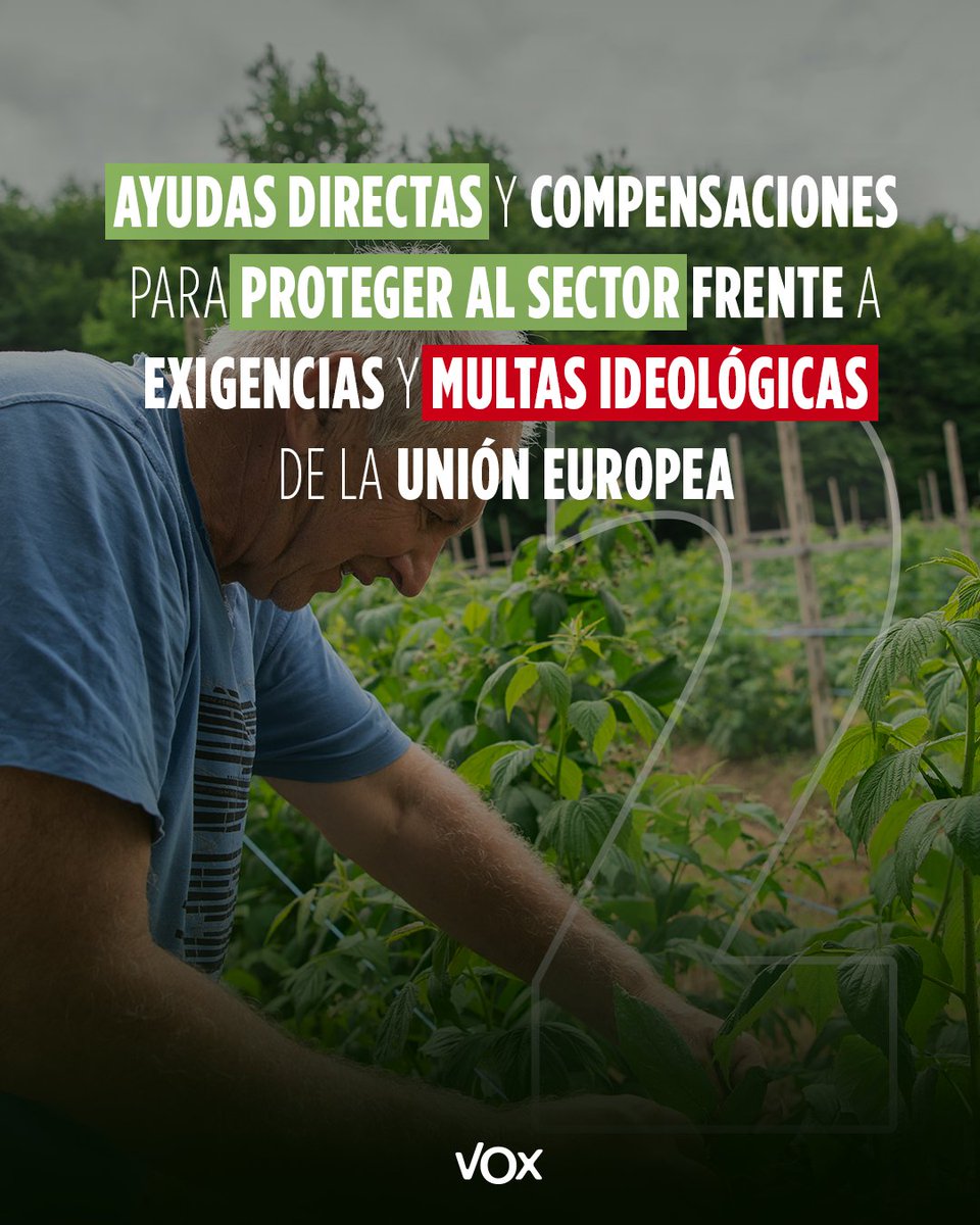 VOX Cortes Valencianas tweet media