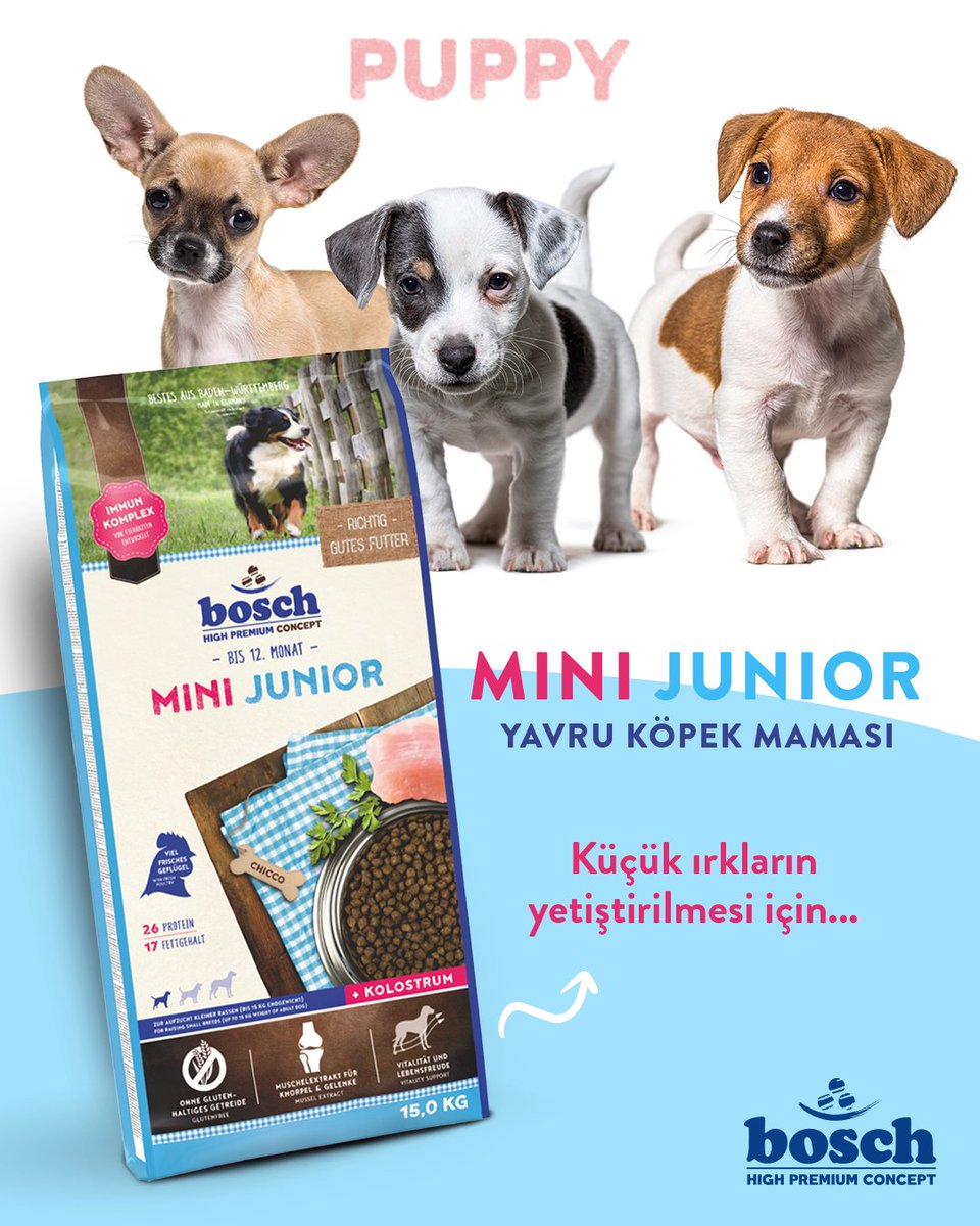 BoschDogFoodTr's tweet photo. 🐶 Küçük ırkların yetiştirilmesi için (15 kg nihai ağırlığa kadar) özel olarak formüle edilmiş, kroket şekli ve boyutu uyarlanmış, aynı zamanda gerekli protein ve mineral oranlarına sahip, büyümelerine yardımcı mamadır.

Detaylı bilgi için ➡️ https://t.co/d2QumhpSi8 https://t.co/dG9gmTAHMx