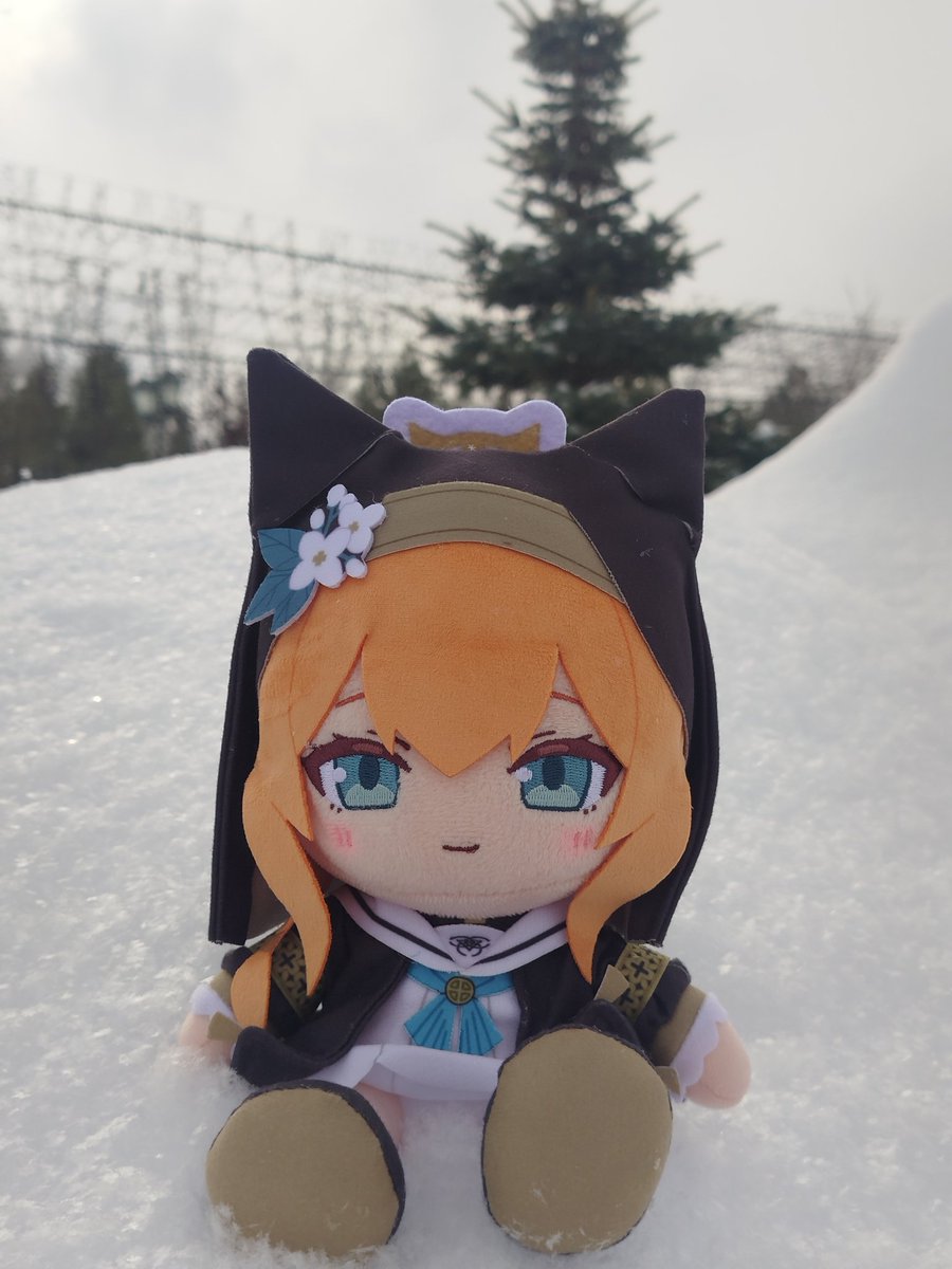 Dashie116 tweet media