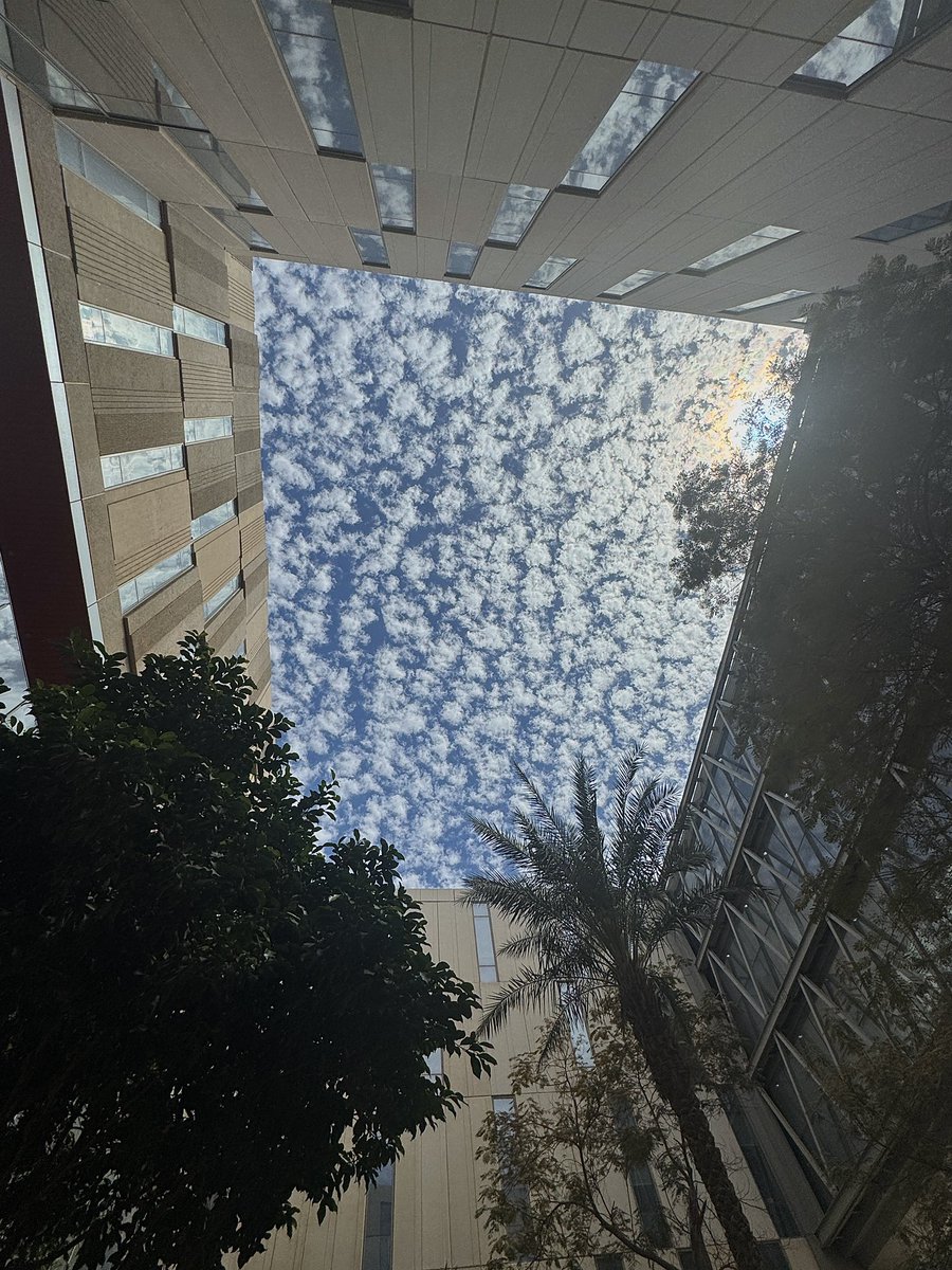 Alhanouf tweet media