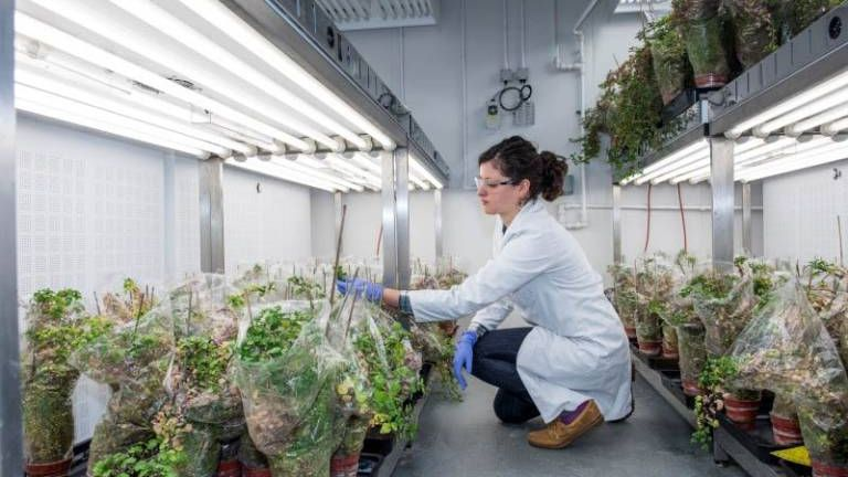 UCL Innovation & Enterprise tweet media