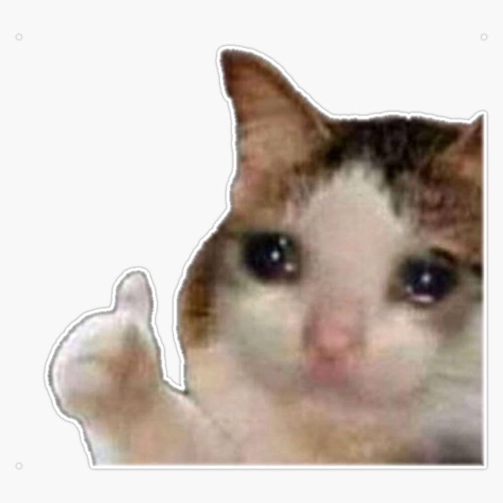 Ja próbująca się pocieszyć że to tylko próbne i nie ma żadnego prawdziwego znaczenia: 
#matura2026