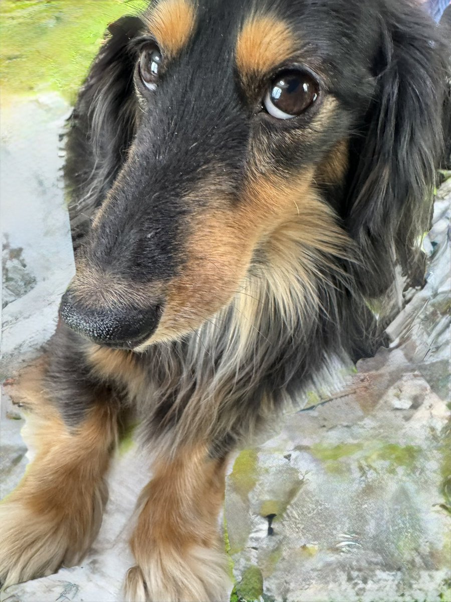 ゆえ@お得情報 (@underdog_yue) / Posts / X