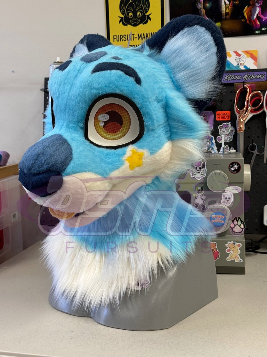 ✨💜 Astris 💜✨ 🔜FurDU 26 GOH tweet media