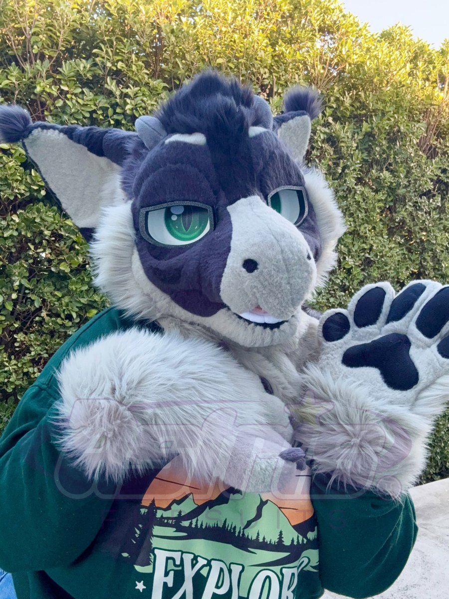 ✨💜 Astris 💜✨ 🔜FurDU 26 GOH tweet media