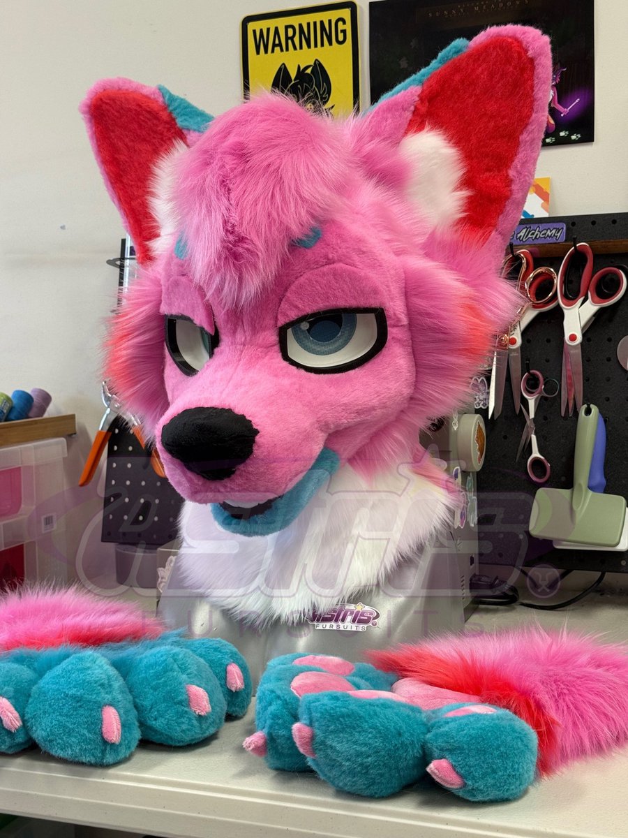 ✨💜 Astris 💜✨ 🔜FurDU 26 GOH tweet media