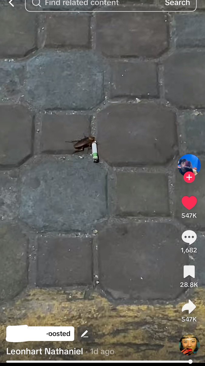 Ibayan 🩳 tweet media