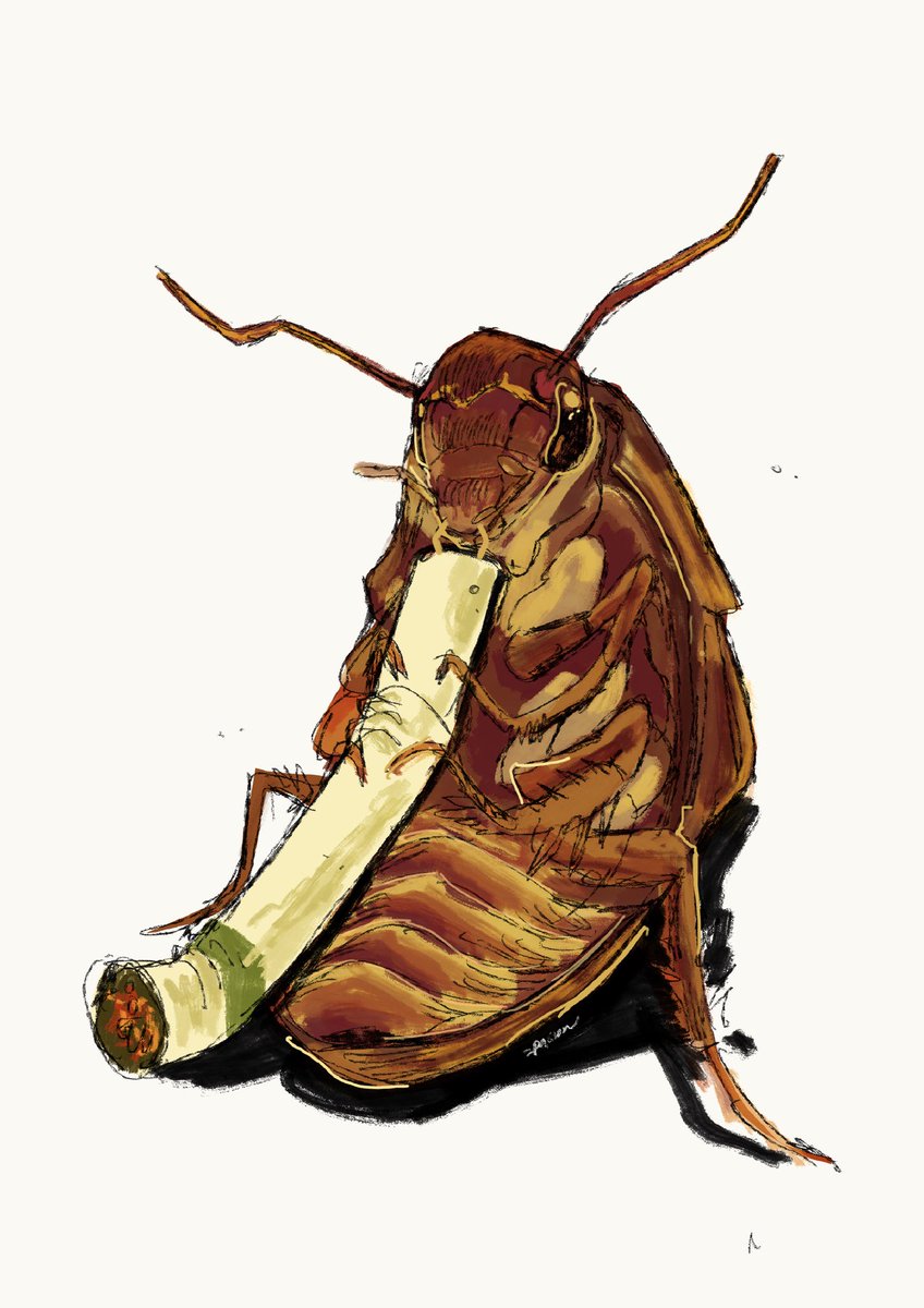 Ibayan 🩳 tweet media