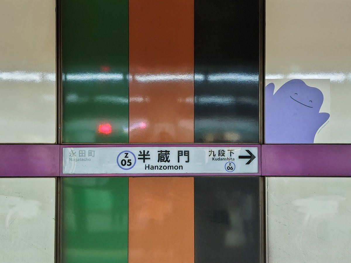 きゃわですね
