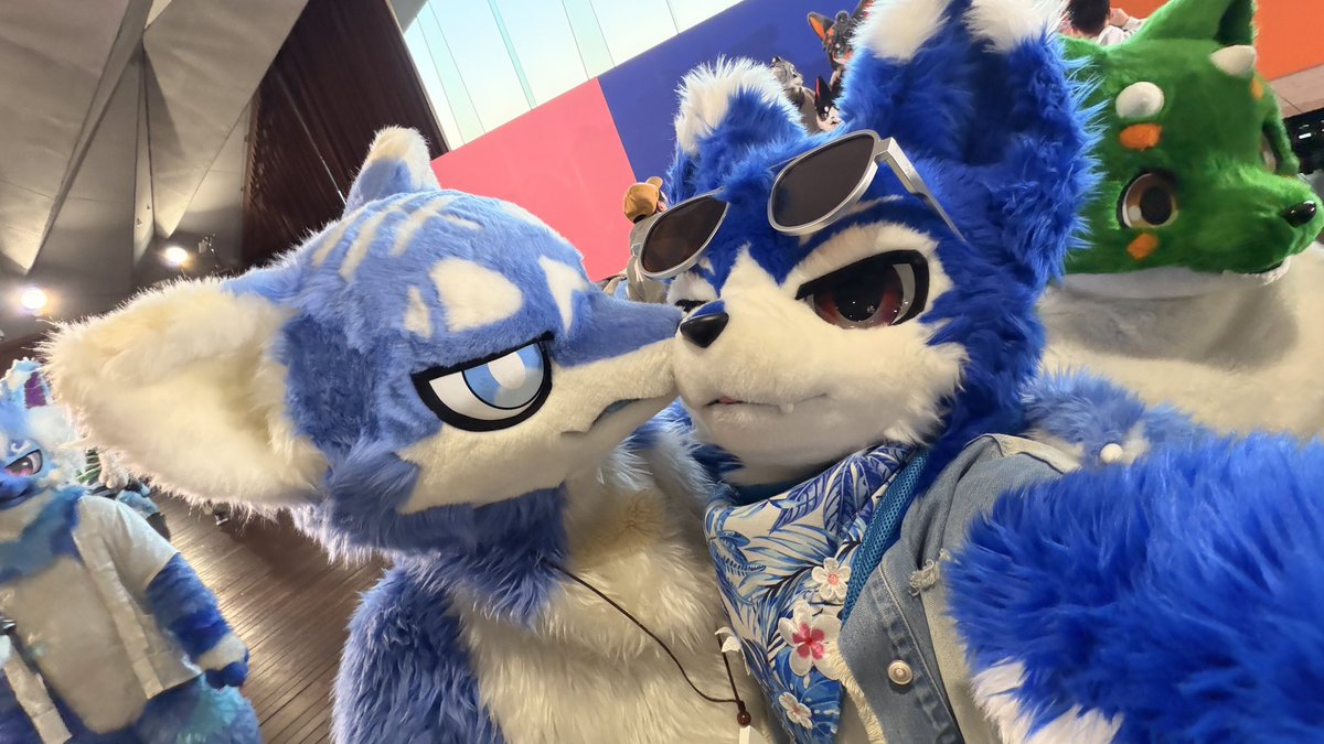 帕洛特★Paroto🐕🎙🔜Furward兽行迹 tweet media