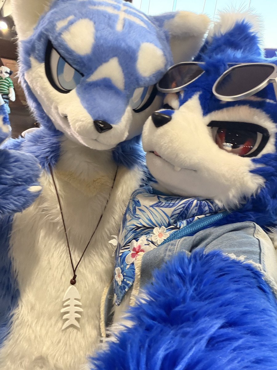 帕洛特★Paroto🐕🎙🔜Furward兽行迹 tweet media