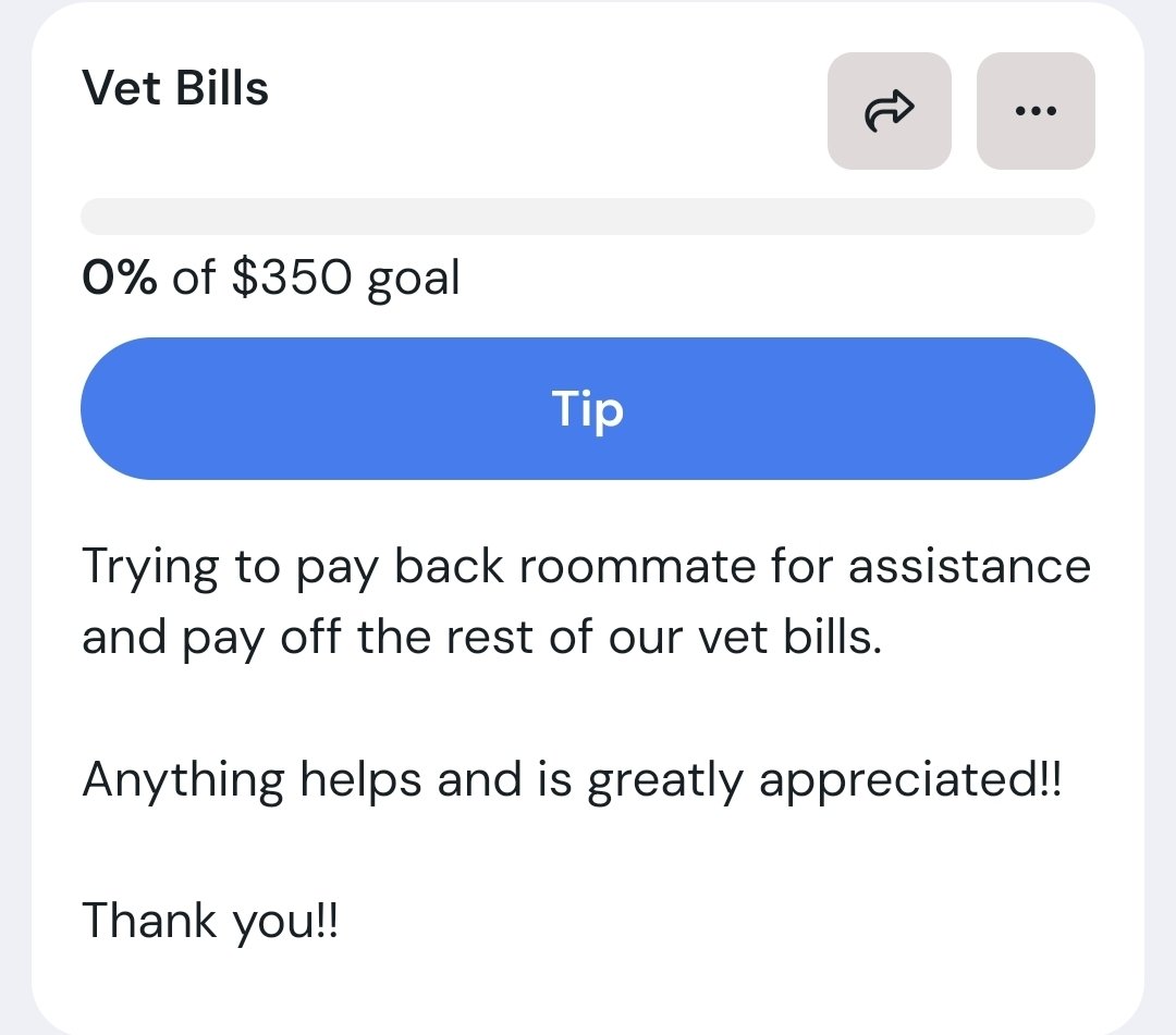 Kiana 💙 tweet media