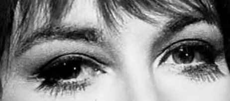 Bufo Calvin tweet media