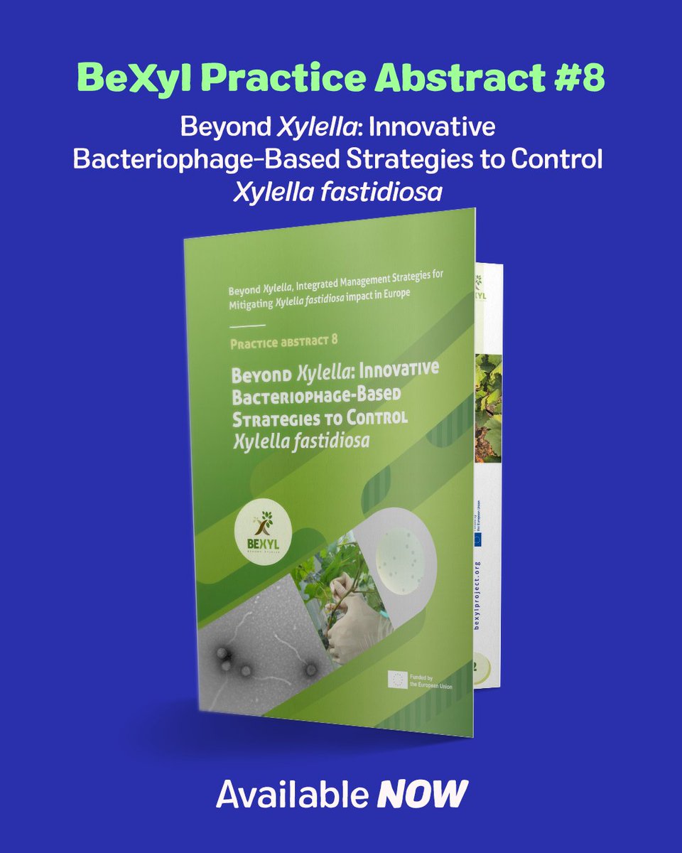 Bexyl Project tweet media