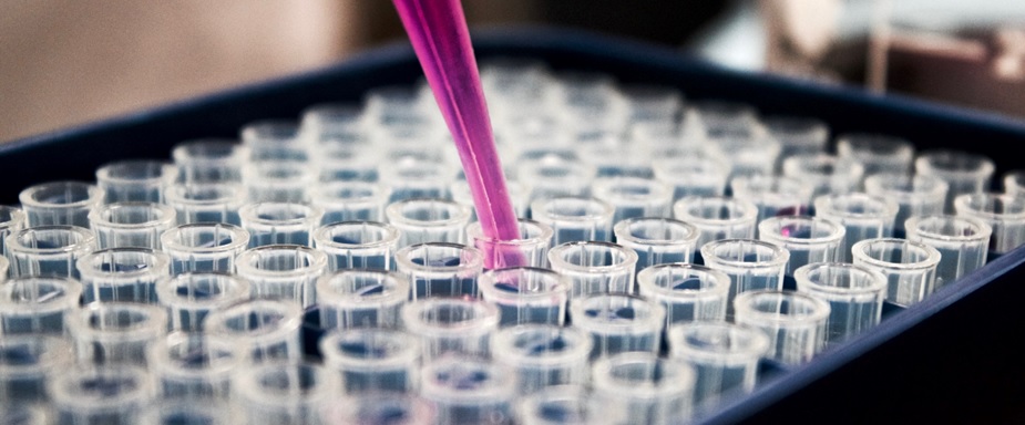 mwbresearch's tweet image. #Formycon💊
📉Preliminary FY2025 results miss guidance with revenue ~€45m, driven by slow uptake of ustekinumab biosimilar FYB202
🔍Limited US listings hinder growth; potential non-cash impairment looms
🔽PT cut to €40
✅BUY 
👉research-hub.de
$FMY1 #Biosimilars #Pharma