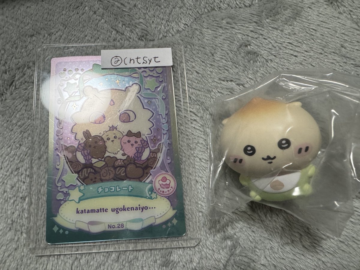 チッチ 🐶 tweet media