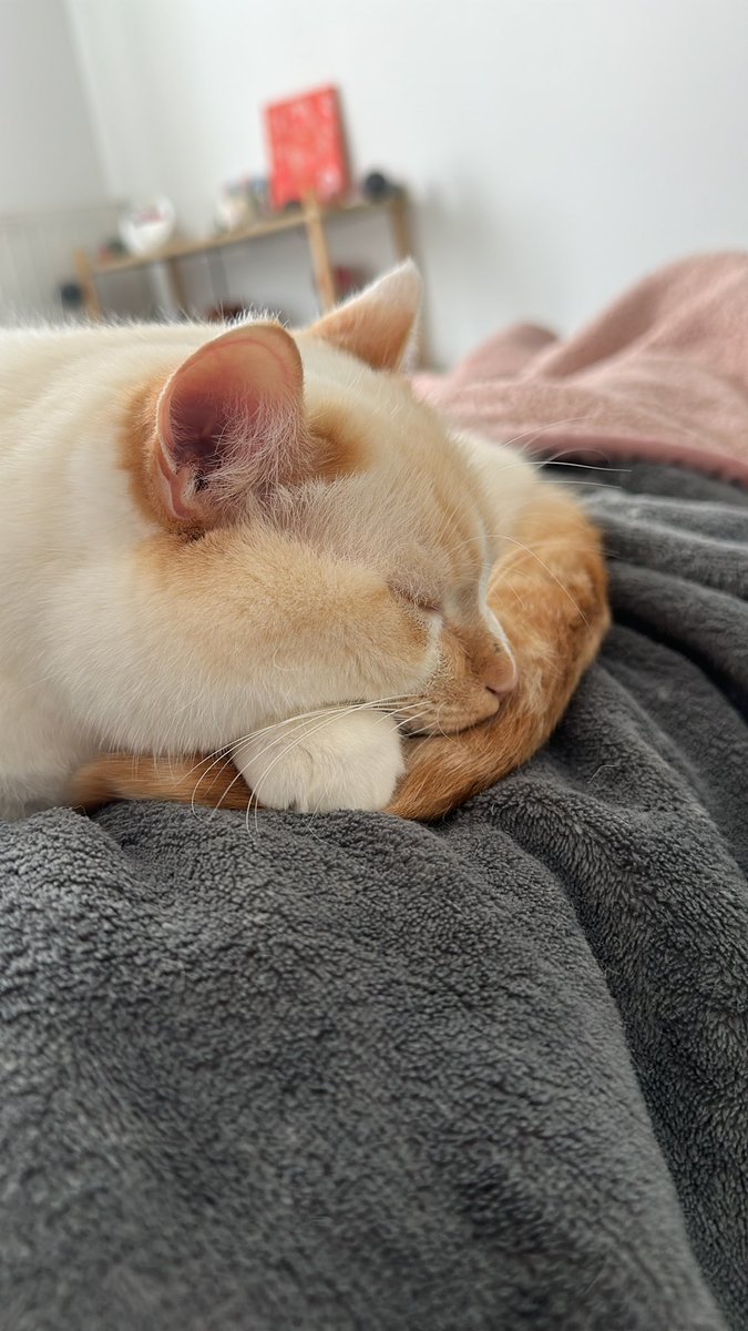 latte cœur lpb tweet media