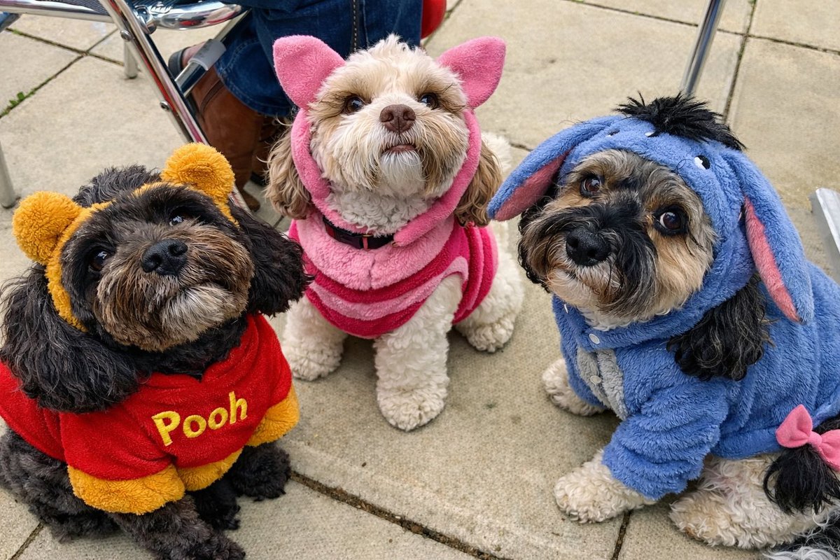 Malcolm & Baby Dog tweet media