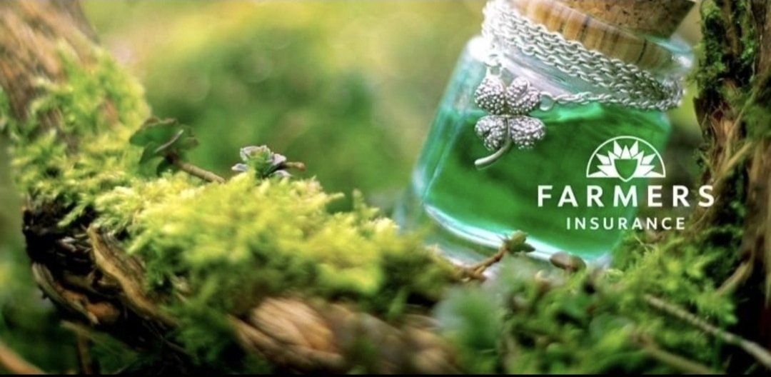 Tim Loonan tweet media