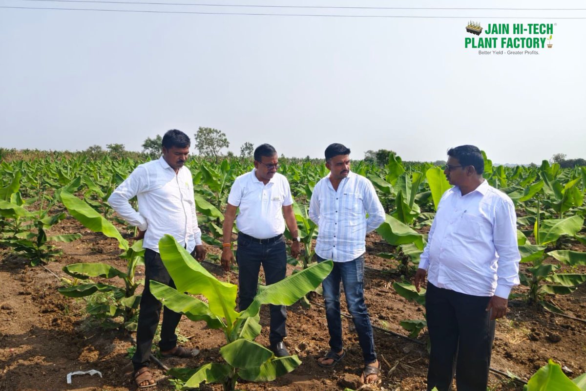 BetterYields_GreaterProfit tweet media