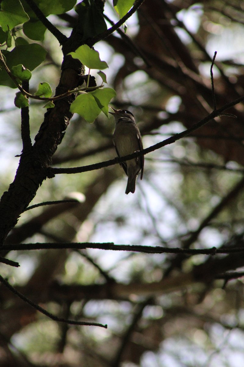 chris (@sickchris13) on Twitter photo 