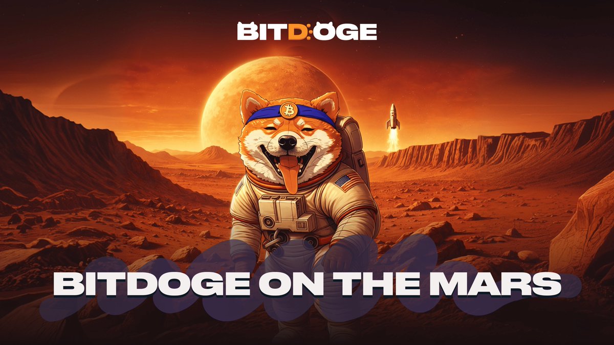 BitDoge tweet media