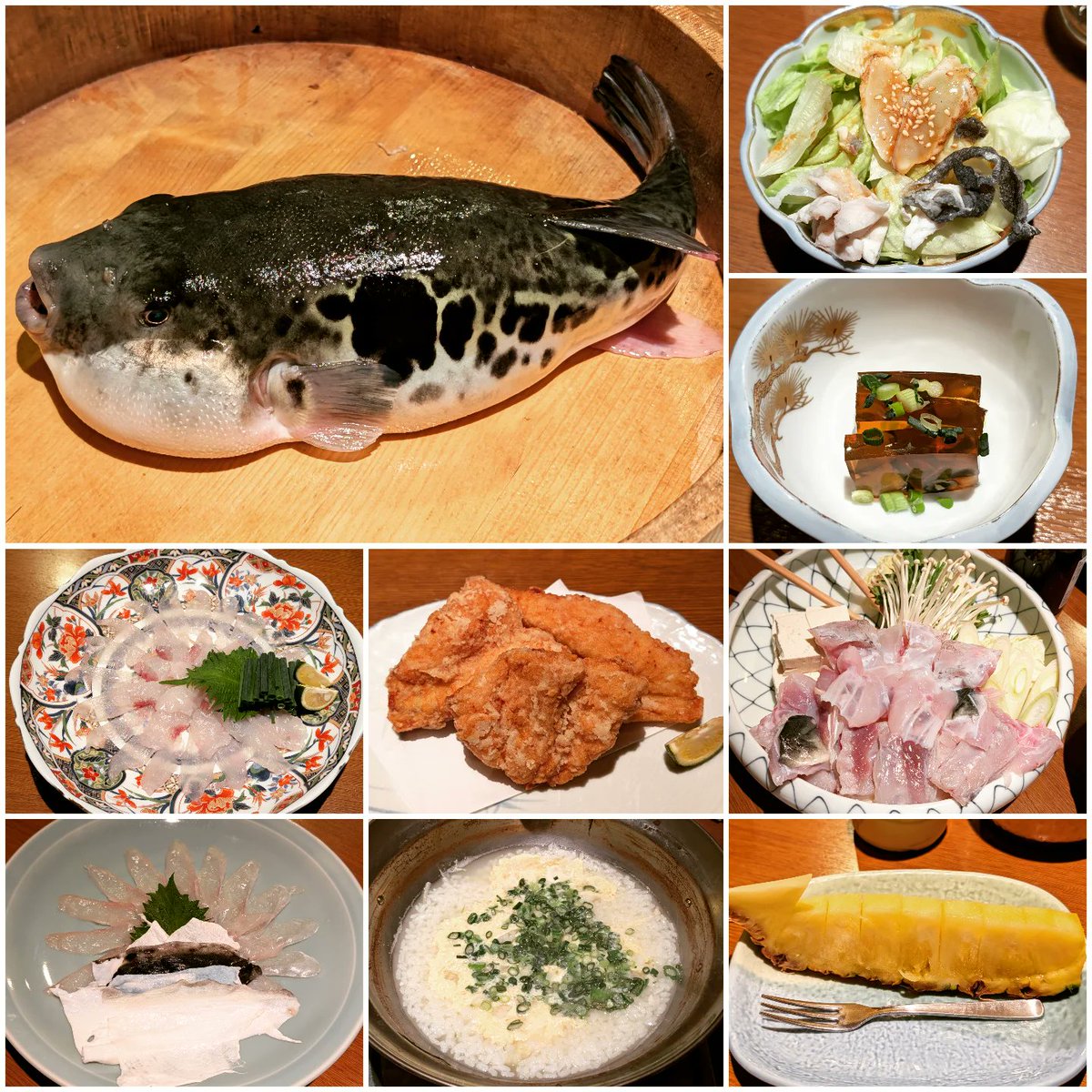 tateomif's tweet photo. 今日の夕食は、フグです。
I had blowfish (fugu) for dinner today.
#blowfish #フグ #越路 https://t.co/a0xTQxKn7c