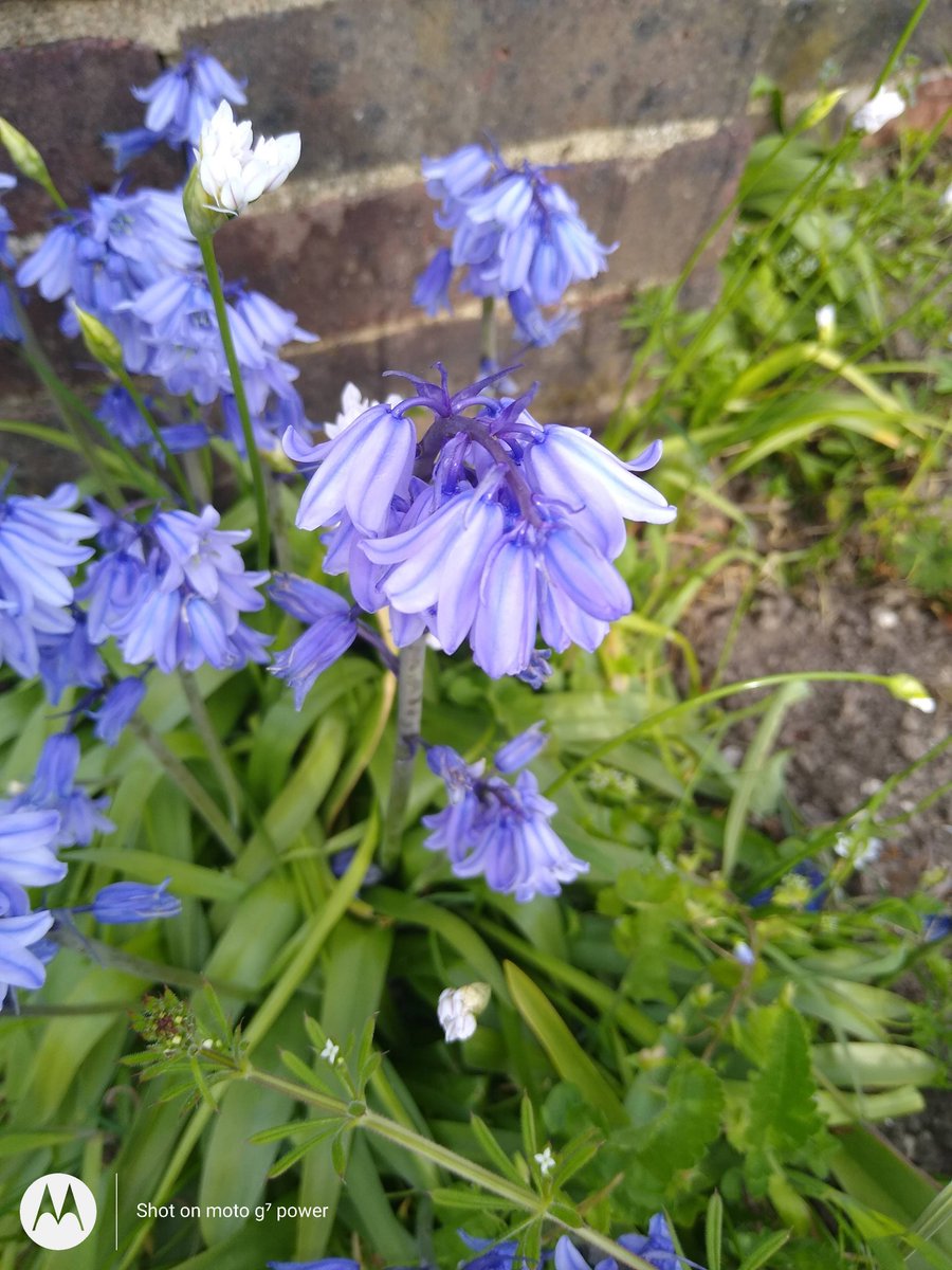 Send your holy angels
to watch over us, O God,
that on our lips will be found your truth
and in our hearts your love;
so we may ever taste your goodness
in the land of the living;
through Jesus Christ our Lord. Amen