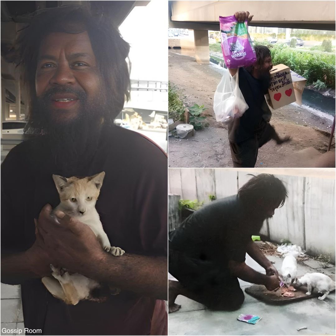 🚨 "Ça ne me dérange pas de sauter des repas, mais les chats doivent manger" : Ce thaïlandais sans-abri vend des citrons la journée pour nourrir les chats errants la nuit à Bangkok. 

Surnommé Loong Dum, ce sans-abri vend depuis des années de petits sachets de citrons verts près