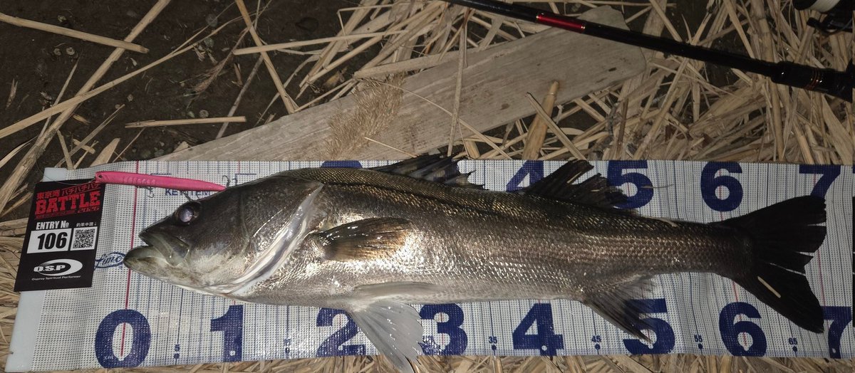 りょう tweet media