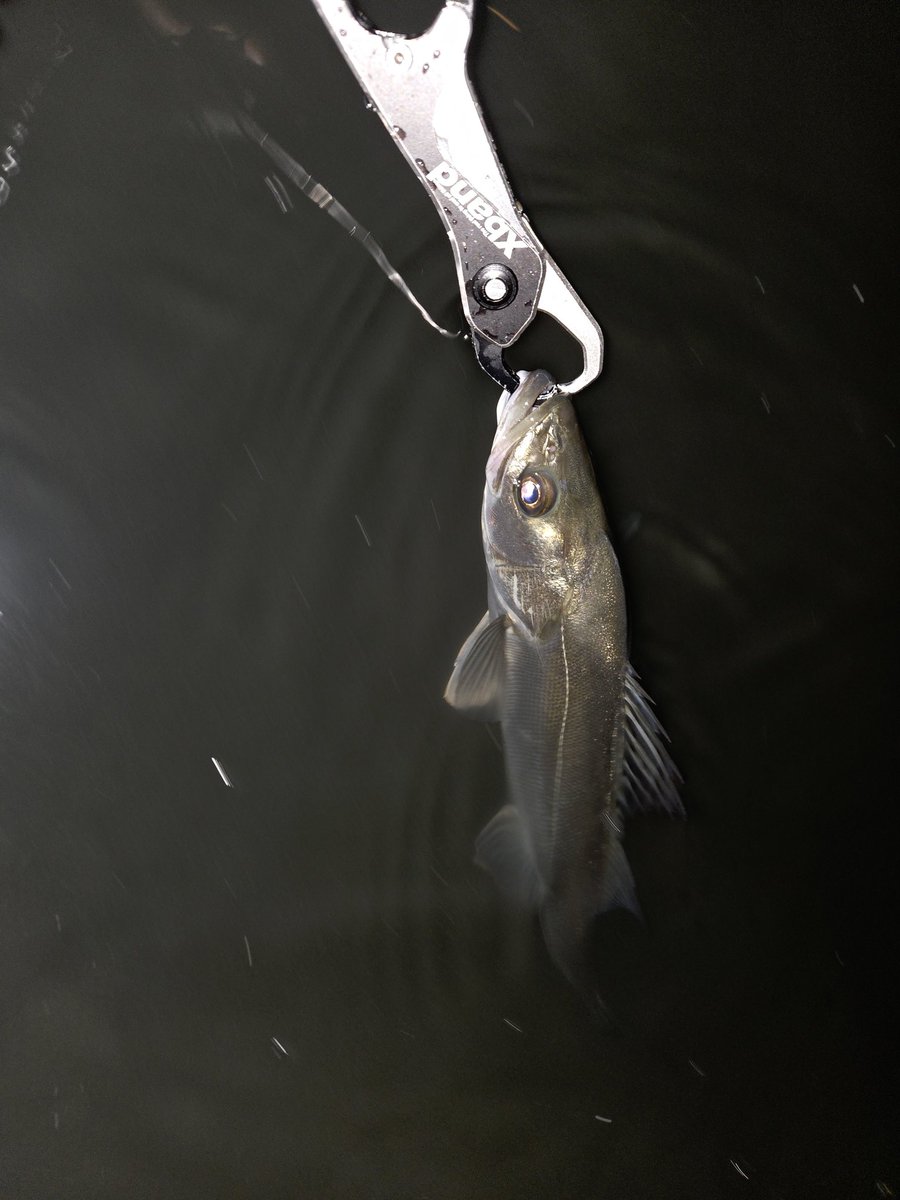 りょう tweet media