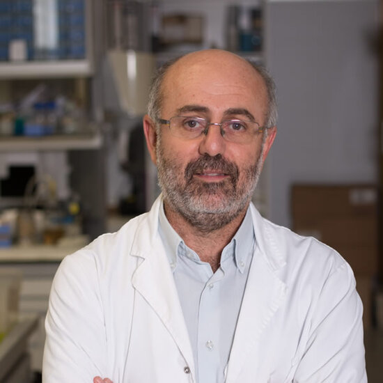 Col·legi de Metges de Lleida tweet media