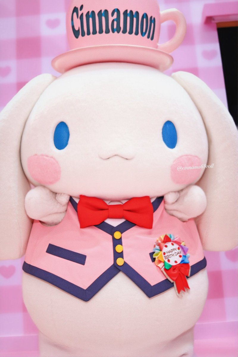 ˏˋ えみねむ🪐𓃠 ˎˊ ˗ (@cinnamo69roll) / Posts / X