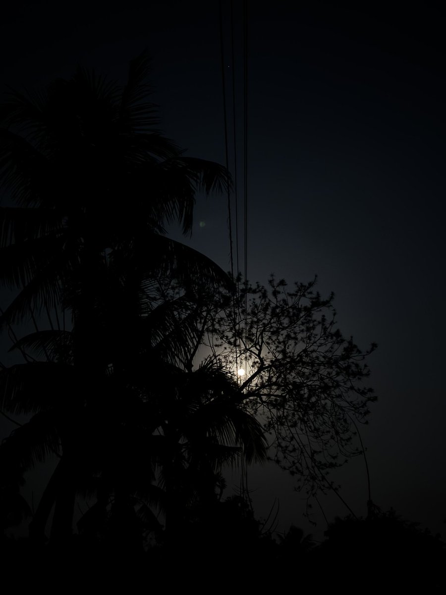 dop463123's tweet photo. GM https://t.co/R2NluoPtMi
