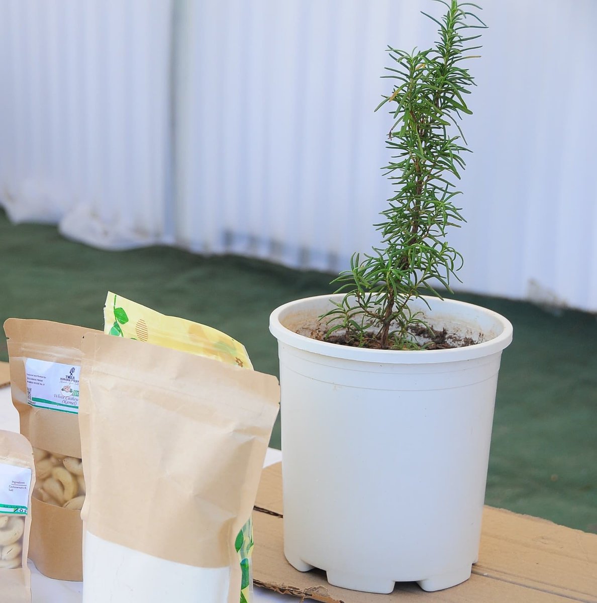 Karibuni tujifunze kuhusu kilimo cha mboga mboga,herbs na uchakataji wa korosho...
Miche  ya Rosemary na mint inapatikana pia.