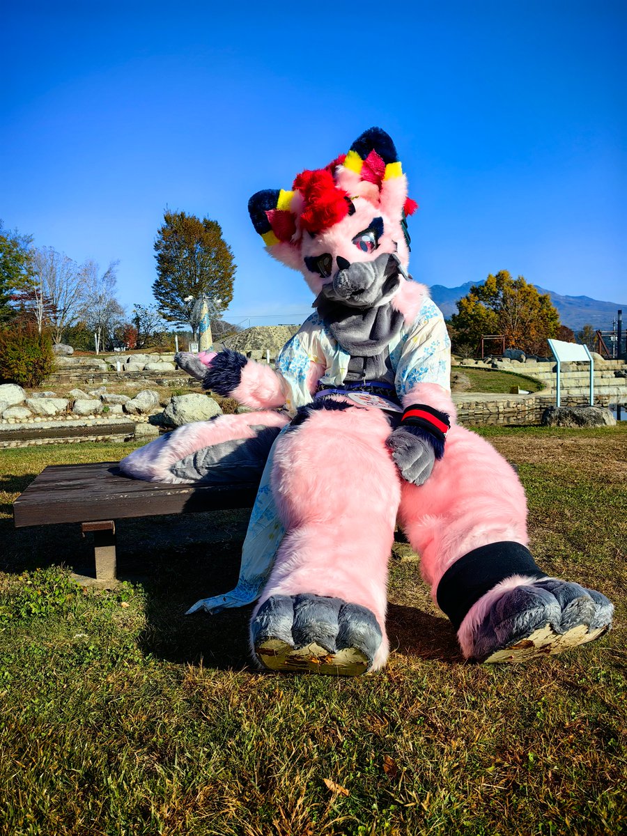 シエル tweet media