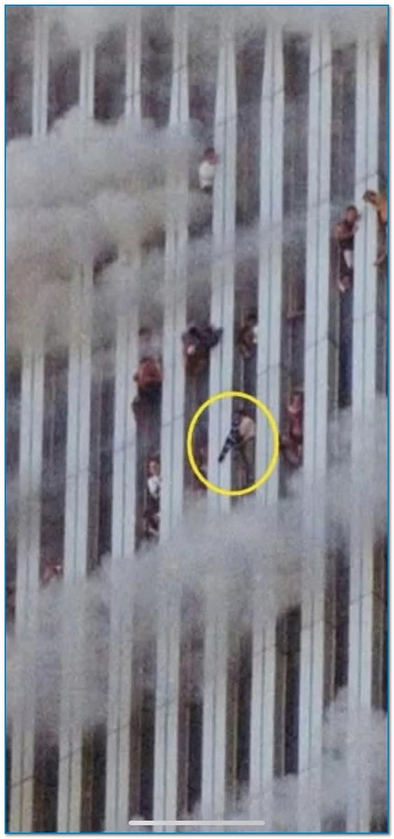 PlainSpokenRedneck tweet media