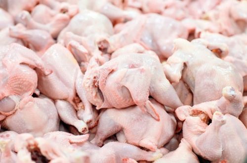 Africa’s Imports of Russian Poultry Meat More Than Double in 2025 ecofinagency.com/news-agricultu…