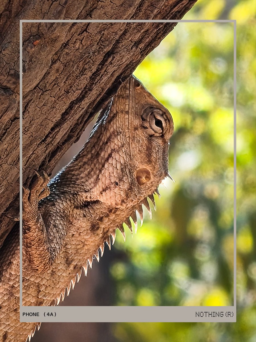 Debayan Bag tweet media